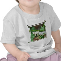 Flowering White Bleeding Heart Baby T-Shirt