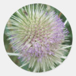 Flowering Wild Grass Sticker