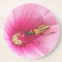 Flowerlife Dessous De Verres