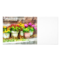 Flowerpots with Autumn Flowers Custom Photo Card
