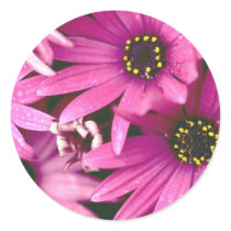 Flowers 278 round sticker