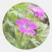Flowers And Foliage - Hardy Geranium Round Stickers