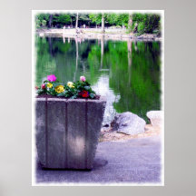 Flowers and Pond Reflections Poster