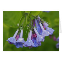 Flowers and Rain Drops Greeting Card