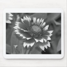 flowers and sparrows mousepads