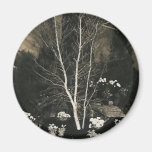 flowers and tree in garden magnet