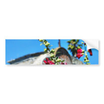 Flowers At San Juan Capistrano Bumper Stickers