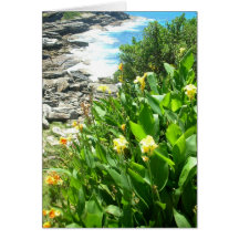Flowers at Tamarama Cove Card