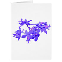 Flowers Blue Tinted Ground Orchid Card