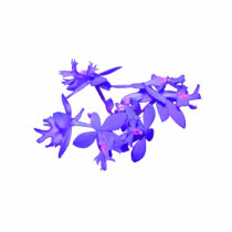 Flowers Blue Tinted Ground Orchid Photo Cut Outs