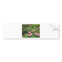 Flowers Bumper Sticker