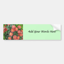 Flowers Bumper Sticker