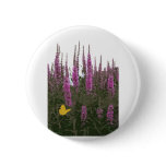 Flowers & Butterfly Pins