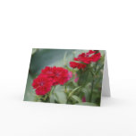 Flowers Greeting Cards