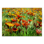 flowers card