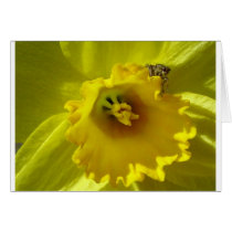 Flowers Card