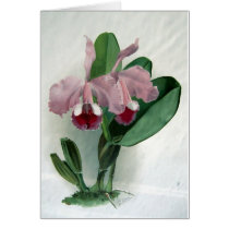 Flowers Cards