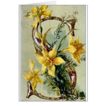 Flowers Greeting Cards