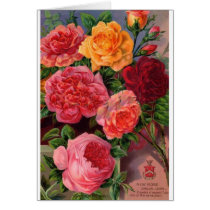 Flowers Greeting Cards