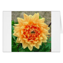 Flowers Card