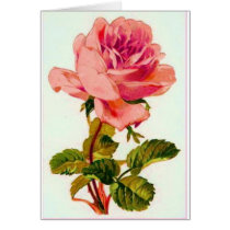 Flowers Cards