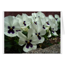 Flowers Greeting Card
