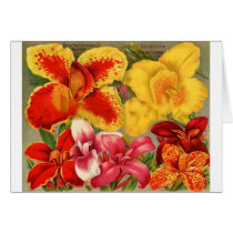 Flowers Greeting Card