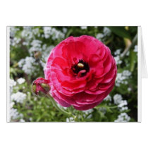 Flowers Cards