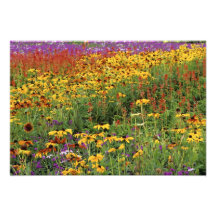 Flowers Display at International Peace Gardens Art Photo
