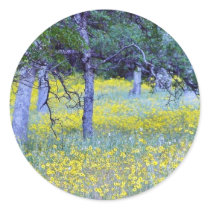 Flowers Fields Forests Oaks Round Sticker