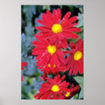 Flowers flowers poster