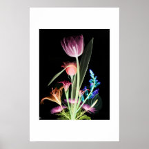 Flowers For You Posters