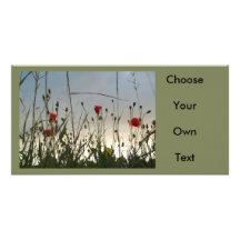 Flowers - Four Red Poppies Custom Photo Card
