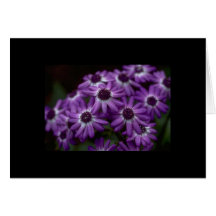 Flowers Greeting Card