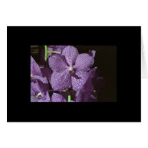 Flowers Greeting Card