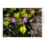 Flowers Greeting Card
