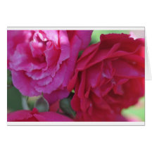 Flowers Greeting Cards