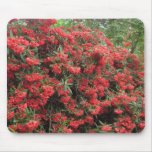 Flowers in England Mousepads