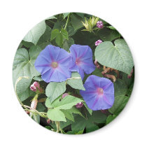 Flowers in Greece Magnet