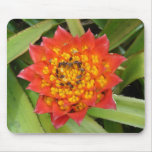 Flowers in Hawaii 6 Mouse Pad