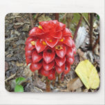 Flowers in Hawaii 7 Mouse Pad