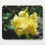 Flowers in Hawaii 9 Mouse Mats