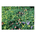 flowers in mexico greeting card