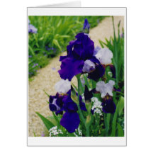 Flowers in Monet's Garden Card