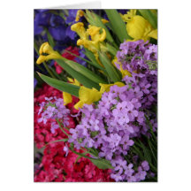 Flowers in Multiple Colours Greeting Cards