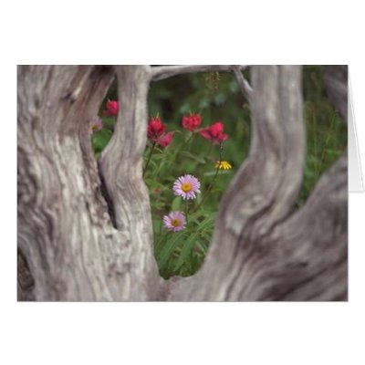 Flowers in The Breeze Greeting Cards by Satin77