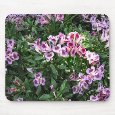flowers in the garden mouse pad by DonnaGrayson_Photos