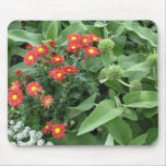flowers in the garden mouse mat