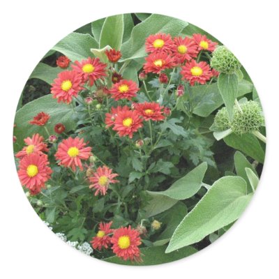 flowers in the garden sticker by DonnaGrayson_Photos