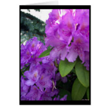 Flowers in the Neighbourhood Card